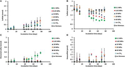 Pressure Selects Dominant Anaerobic Methanotrophic Phylotype and Sulfate Reducing Bacteria in Coastal Marine Lake Grevelingen Sediment